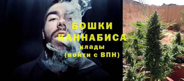винт Арсеньев