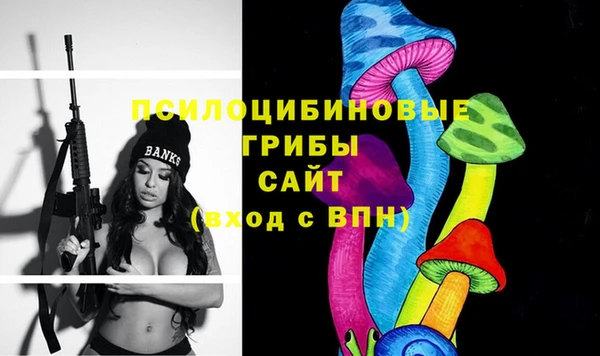 винт Арсеньев
